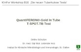 QuantiFERON®-Gold In Tube T-SPOT.TB Test KlinFor Workshop B16 Die neuen Tuberkulose Tests Detlev Schultze Dr. med. Dipl Biol. Leitender Arzt Institut für.