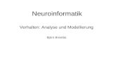 Neuroinformatik Verhalten: Analyse und Modellierung Björn Brembs.