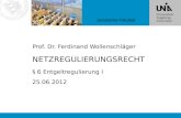 Juristische Fakultät Prof. Dr. Ferdinand Wollenschläger NETZREGULIERUNGSRECHT § 6 Entgeltregulierung I 25.06.2012.