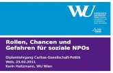 Rollen, Chancen und Gefahren für soziale NPOs Diplomlehrgang Caritas-Gesellschaft-Politik Wels, 25.02.2011 Karin Heitzmann, WU Wien.