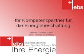 Ihr Kompetenzpartner für die Energiebeschaffung Referent: Thomas Maisch Leiter Vertrieb & Marketing.