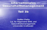 Internationales Gesundheitsmanagement Teil 3b Steffen Fleßa Lst. für Allgemeine BWL und Gesundheitsmanagement Universität Greifswald.