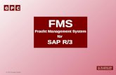 GPC GPC Europe GmbH 1 FMS Fracht Management System für SAP R/3 Für die nächste Seite bitte ENTER drücken.