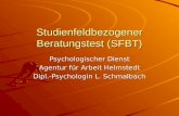 Studienfeldbezogener Beratungstest (SFBT) Psychologischer Dienst Agentur für Arbeit Helmstedt Dipl.-Psychologin L. Schmalbach.