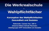 Die Werkrealschule - Wahlpflichtfächer Konzeption des Wahlpflichtfaches Gesundheit und Soziales Referentin: Carmen Farr, StR´in Johanna-Wittum-Schule Pforzheim.