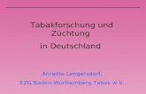 Tabakforschung und Züchtung in Deutschland Annette Lengersdorf, EZG Baden-Württemberg Tabak w.V.