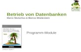 Betrieb von Datenbanken Marco Skulschus & Marcus Wiederstein Programm-Module Lehrbuch, Kapitel 7.