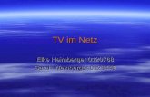 TV im Netz Elke Heimberger 0120768 Sarah Weinberger 0121449.