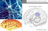 Neuronale Netze und Fuzzy Sets. Das Gehirn von Carl Friedrich Gauß (1777-1855)