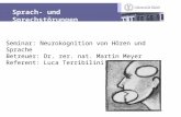 1 Seminar: Neurokognition von Hören und Sprache Betreuer: Dr. rer. nat. Martin Meyer Referent: Luca Terribilini Sprach- und Sprechstörungen.