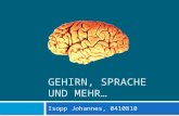 GEHIRN, SPRACHE UND MEHR… Isopp Johannes, 0410810.