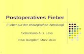 Postoperatives Fieber Sebastiano A.G. Lava RSE Burgdorf, M¤rz 2010 (Fieber auf der chirurgischen Abteilung) 1