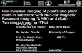 Institut für Hochfrequenztechnik Technische Universität Braunschweig Department of Biological and Medical Psychology Non invasive imaging of plants and.