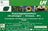 Blauzungenkrankheit (Bluetongue - Disease, BT) Hintergründe und Bekämpfung in Österreich und in Europa Stand 12.12.2008 Dr. Claudia Litzllachner, Landwirtschaftskammer.