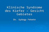 Klinische Syndrome des Kiefer – Gesicht Gebietes Dr. György Fekete.
