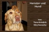 Hamster und Hund Von: Tiana Krstajic& Nina Kuczurba.