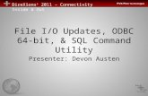 DireXions + 2011 – Connectivity Inside & Out File I/O Updates, ODBC 64-bit, & SQL Command Utility Presenter: Devon Austen.