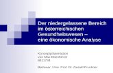 Der niedergelassene Bereich im österreichischen Gesundheitswesen – eine ökonomische Analyse Konzeptpräsentation von Max Ebenführer 8411734 Betreuer: Univ.