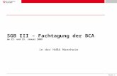 Seite 1 SGB III – Fachtagung der BCA am 22. und 23. Januar 2009 in der HdBA Mannheim.