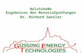 1 HolzSchaBe Ergebnisse der Materialprüfungen Dr. Richard Zweiler.