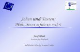 Sehen und Tasten: Mehr Sinne erfahren mehr! Josef Madl Institut für Biophysik Wilhelm Macke Award 2007.