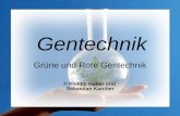 Gentechnik Grüne und Rote Gentechnik © Philipp Huber und Sebastian Karcher.