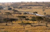 In Der Savanne By: Sarah Fleming. Das Nilpferd Das Nilpferd ist ein großes Säuger. Es kann bis zu dreieinhalb Tonnen oder neuntausendfünfhundert Pfund.
