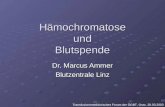 Hämochromatose und Blutspende Dr. Marcus Ammer Blutzentrale Linz Transfusionsmedizinisches Forum der ÖGBT, Graz, 28.03.2003.