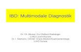 IBD: Multimodale Diagnostik Dr. Ch. Blumer, Co-Chefarzt Radiologie LUKS Luzern/Sursee Dr. I. Stamenic, OAmbF Innere Medizin/Gastroenterologie LUKS Sursee.