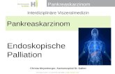 Pankreaskarzinom Christa Meyenberger, Kantonsspital St. Gallen Interdiziplinäre Viszeralmedizin Endoskopische Palliation.