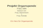 Projekt Organspende FSG 094 betreut von Frau Stemmrich & Frau Rohde Ein Herz für Organspende.