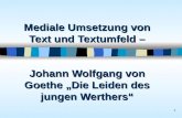 1 Mediale Umsetzung von Text und Textumfeld – Johann Wolfgang von Goethe Die Leiden des jungen Werthers.