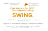 Grundlagen der BGF Einstiegsworkshop SWiNG – Stressmanagement, Wirkung und Nutzen betrieblicher Gesundheitsförderung Programm zur Stressprävention in Betrieben