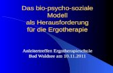 Das bio-psycho-soziale Modell als Herausforderung für die Ergotherapie Anleitertreffen Ergotherapieschule Bad Waldsee am 10.11.2011.