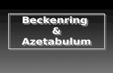 Beckenring & Azetabulum. BECKENRING- VERLETZUNGEN.