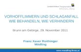 Www.moedling.lknoe.at VORHOFFLIMMERN UND SCHLAGANFALL WIE BEHANDELN, WIE VERHINDERN Franz Xaver Roithinger Mödling Brunn am Gebirge, 29. November 2011.