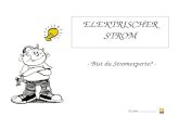 © 2004  ELEKTRISCHER STROM - Bist du Stromexperte? -