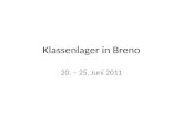 Klassenlager in Breno 20. – 25. Juni 2011. Bilder und Eindrücke 5. Klasse, Mauro Pelloni.