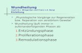Wundheilung (nach B.v. Wingerden und Frans v.d. Berg) Einleitung Physiologische Vorgänge zur Regeneration bzw. Reparation von zerstörtem Gewebe Wundheilung.