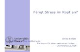 Fängt Stress im Kopf an? Ulrike Ehlert Psychologisches Institut und Zentrum für Neurowissenschaften Universität Zürich.