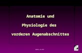 94071-1S.PPT Anatomie und Physiologie des vorderen Augenabschnittes.