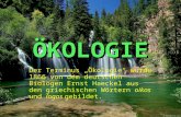 ÖKOLOGIE Der Terminus Ökologie wurde 1866 von dem deutschen Biologen Ernst Haeckel aus den griechischen Wörtern oikos und logos gebildet.