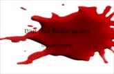 Blut und Blutgruppen Blutgerinnung. Blut Blutserum( Blutplasma ohne Gerinnungstoffe) Rote Blutkörperchen Weiße Blutkörperchen Blutplättchen Blutplasma.