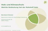 © FH-Prof. Dr. Bernhard Zimmer – Regensburg, 15.10.2011 Holz und Klimaschutz Welche Bedeutung hat der Rohstoff Holz Bernhard Zimmer Bayerisches Institut.