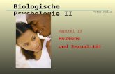 Biologische Psychologie II Peter Walla Kapitel 13 Hormone und Sexualität.