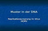 Muster in der DNA Replikationsursprung im Virus HCMV.