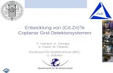 Entwicklung von (Cd,Zn)Te Coplanar Grid Detektorsystemen E. Hamann, A. Zwerger, A. Fauler, M. Fiederle Bundesamt für Strahlenschutz (BfS): U. Stöhlker.