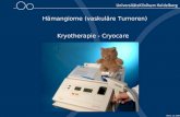 Benz 12.2006 Hämangiome (vaskuläre Tumoren) Kryotherapie - Cryocare