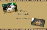 Tiere (Animals) Deutsch I Notizen. Säugetiere (Mammals) der Hunddie Katze.