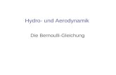 Hydro- und Aerodynamik Die Bernoulli-Gleichung. So fliegen die Vögel! …und die Flugzeuge.
